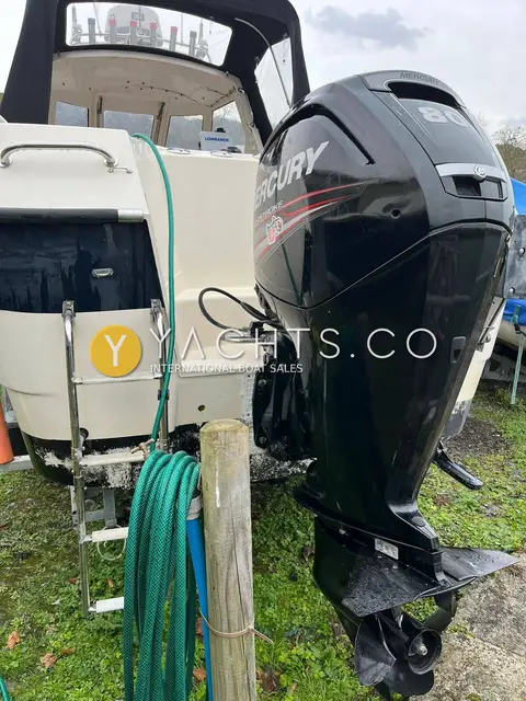 Admiral Shipyard Pro Fish 560: stern with black Mercury outboard, boarding ladder and garden hose connected for flushing