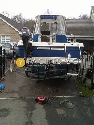 Bayliner Trophy 2152: stern view on trailer showing outboard auxiliary bracket, swim ladder and drive leg