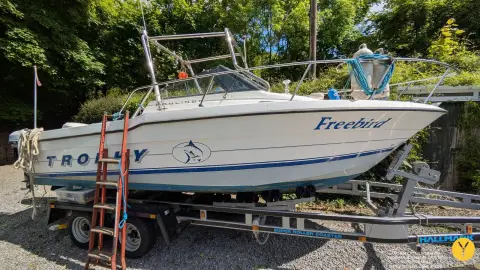 Bayliner Trophy Walkaround 2102: port side view on trailer showing Trophy hull graphics and boarding ladder