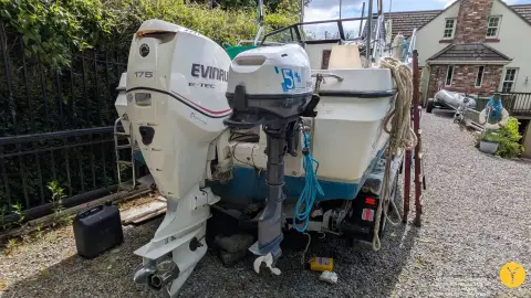 Bayliner Trophy Walkaround 2102: transom with Evinrude main outboard and small auxiliary outboard mounted alongside