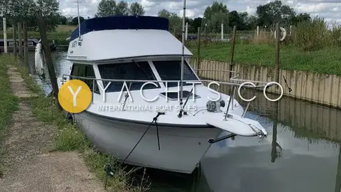 Carver 26 Command Bridge: bow view afloat alongside a grassy riverbank with wooden pilings