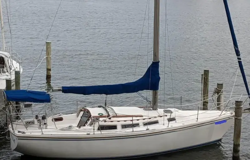 Catalina 36 for sale