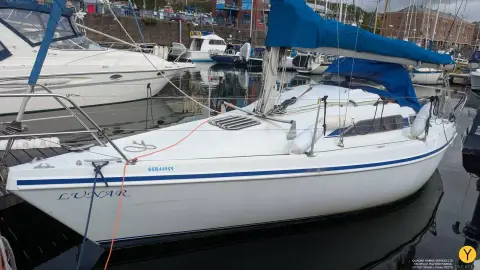 Hunter Horizon 272 — photo 5 of 28