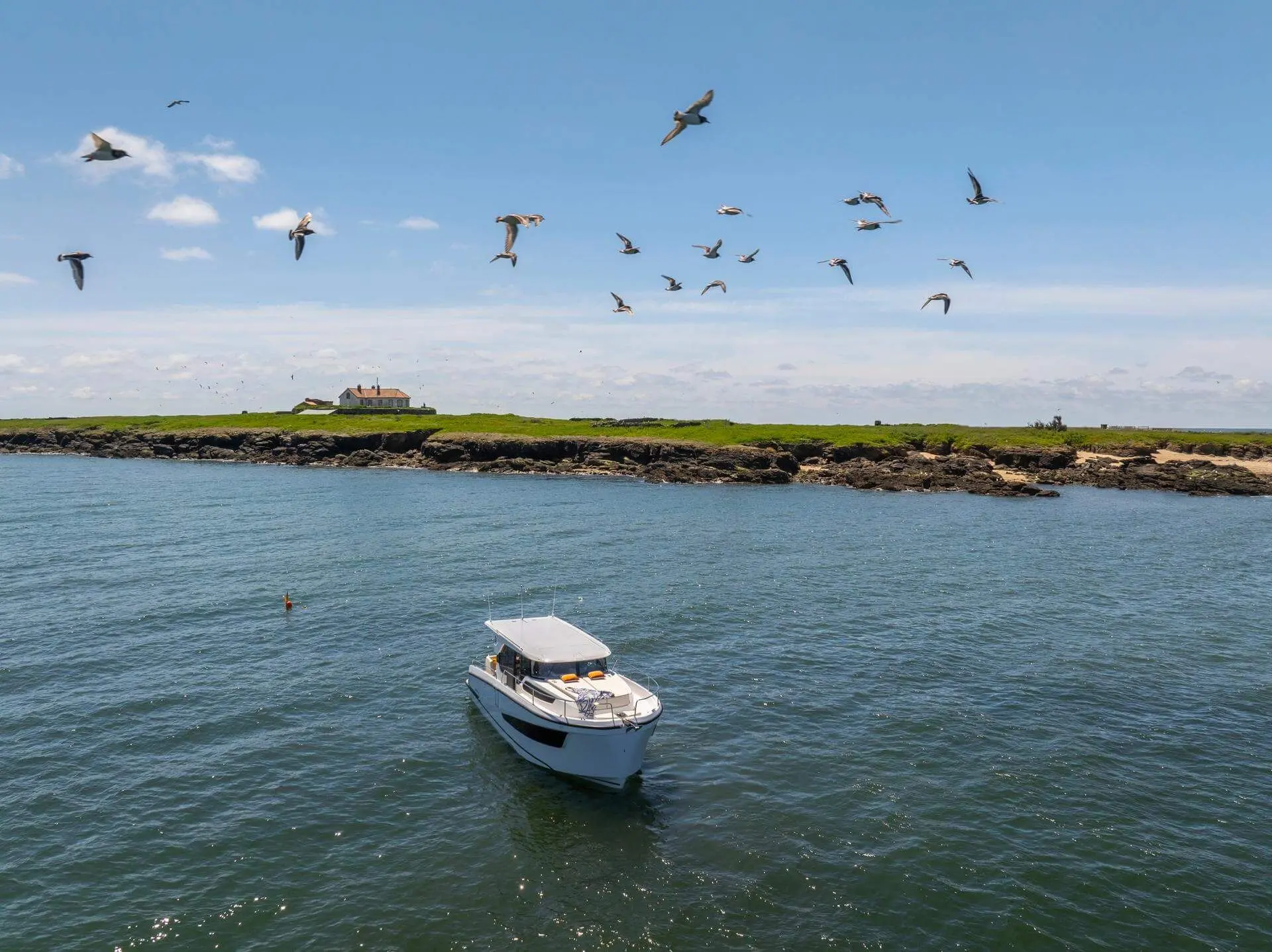 Delphia 10 Sedan: aerial view of the boat at anchor near a grassy rocky island with gulls overhead