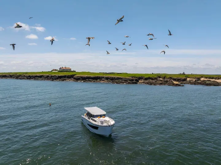Delphia 10 Sedan: aerial view of the boat at anchor near a grassy rocky island with gulls overhead