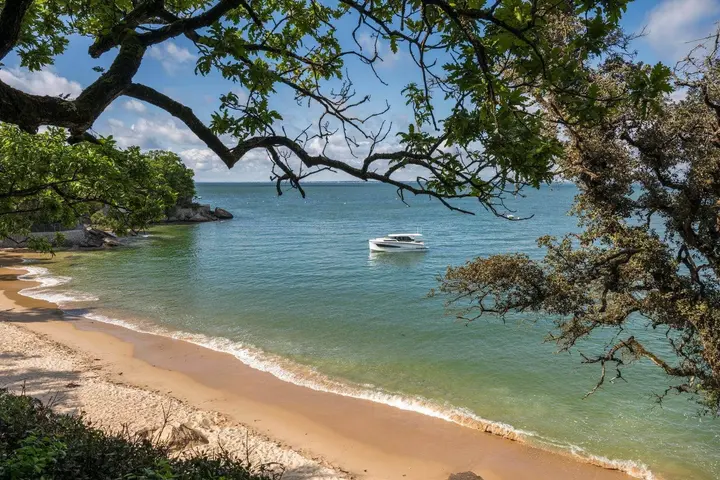 Delphia 10 Sedan: motor cruiser at anchor off a sandy beach, framed by overhanging tree branches