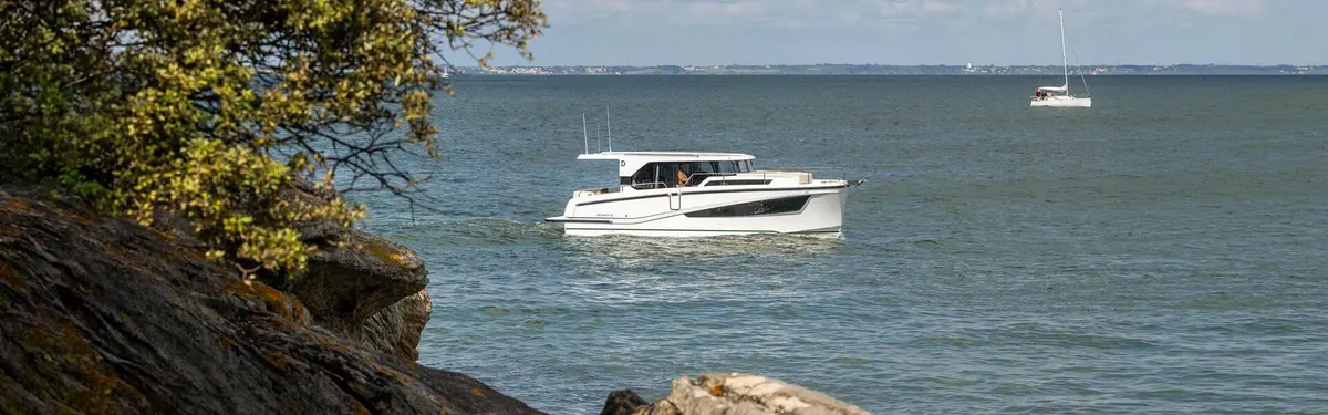 Delphia 10 Sedan: white motor cruiser at anchor in open water, seen past rocks and a tree, sailing yacht beyond