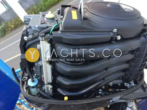 Predator 165: outboard with cowling removed, showing black intake manifold and fuel filter