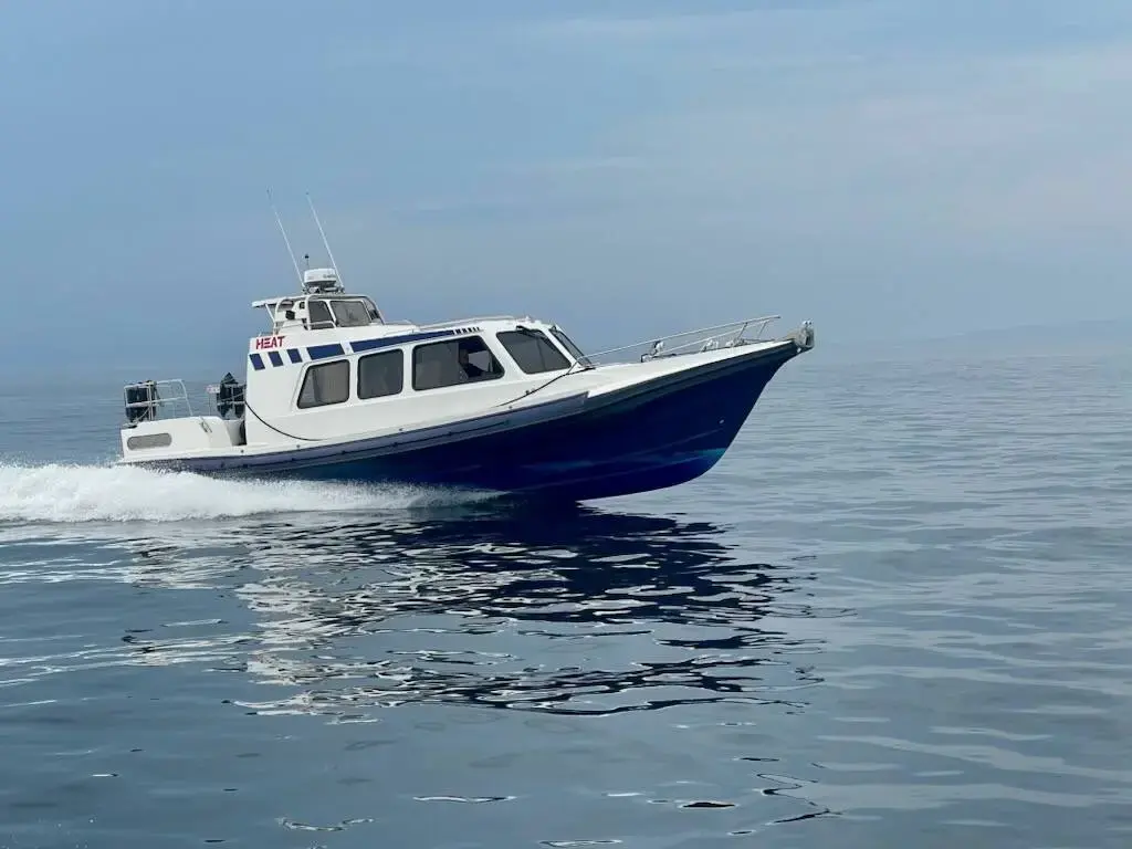 Redbay Stormforce 11 for sale