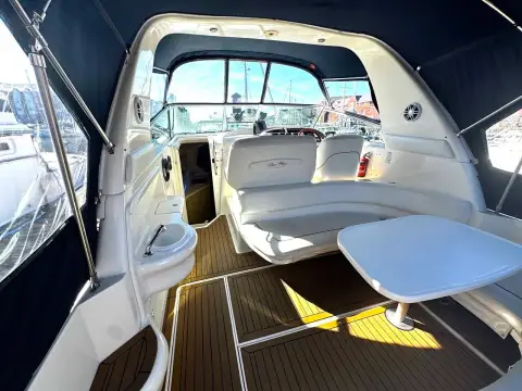 Sea Ray 310 Sundancer — photo 5 of 29