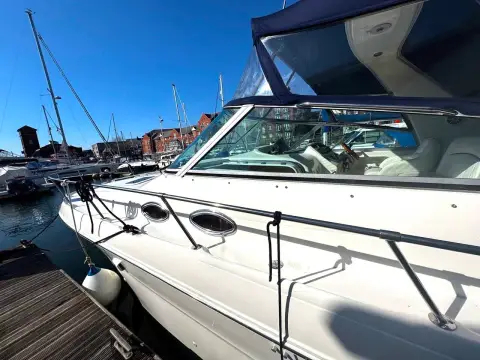 Sea Ray 310 Sundancer — photo 3 of 29