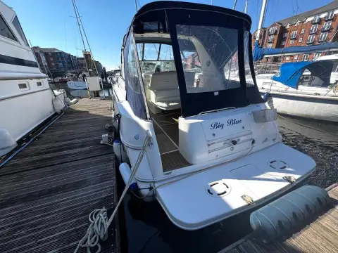 Sea Ray 310 Sundancer — photo 2 of 29