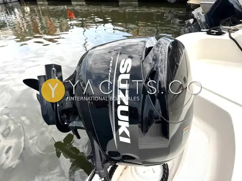 Smartliner 21 Fisher: suzuki outboard engine mounted on the transom, tilted down over the water